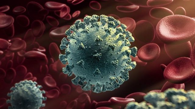 COVID-19's JN.1 Variant: Symptoms, Transmission, And What To Do COVID-19's JN.1 Variant: Symptoms, Transmission, And What To Do