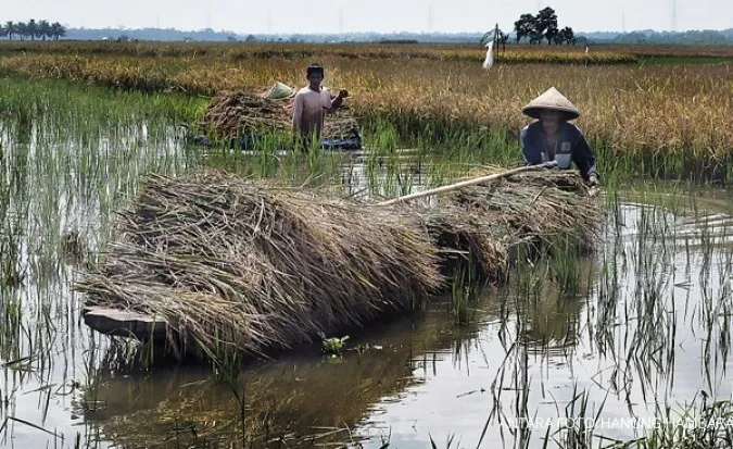 Cuaca Jawa Timur Hari Ini Dan Besok (24 Maret): Peringatan Hujan Cuaca Jawa Timur Hari Ini Dan Besok (24 Maret): Peringatan Hujan