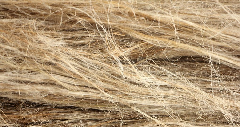 De Bio-based Basisschool En De Noodzaak Van Een Noodgenerator