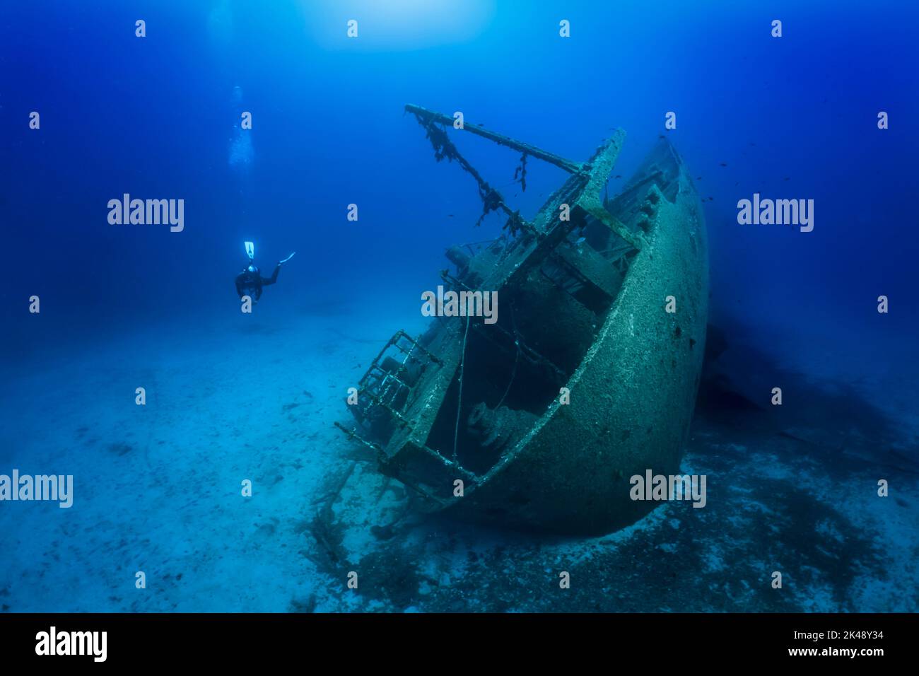 Death Of Diver During Recovery Of Sunken Tech Tycoon Superyacht Death Of Diver During Recovery Of Sunken Tech Tycoon Superyacht