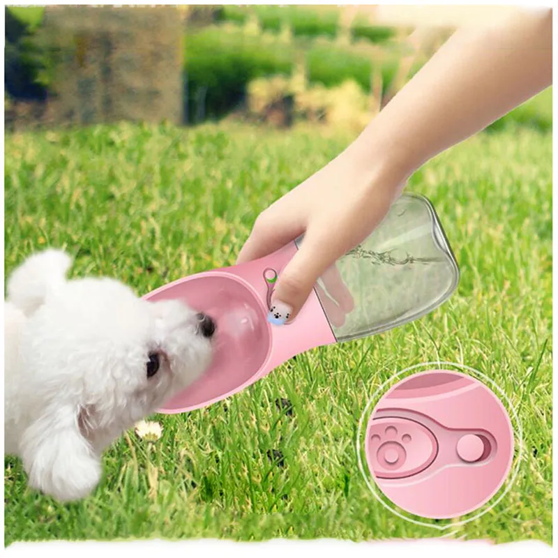 Delhi And Mumbai Get Uber Pet: Convenient Pet Travel Delhi And Mumbai Get Uber Pet: Convenient Pet Travel