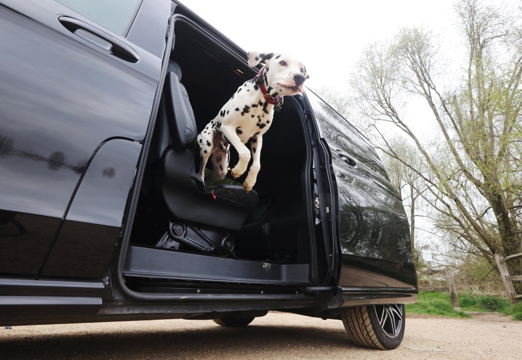 Delhi And Mumbai Residents Can Now Use Uber For Pet Transport
