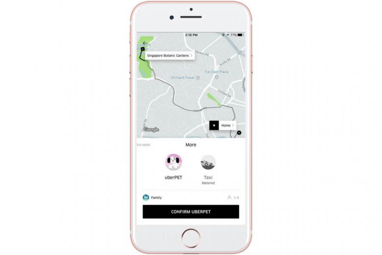 Delhi And Mumbai Residents Can Now Use Uber For Pet Transportation Delhi And Mumbai Residents Can Now Use Uber For Pet Transportation