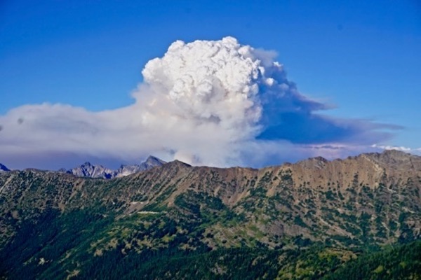 Disaster Capitalism: Examining The Market For Wildfire Bets Disaster Capitalism: Examining The Market For Wildfire Bets