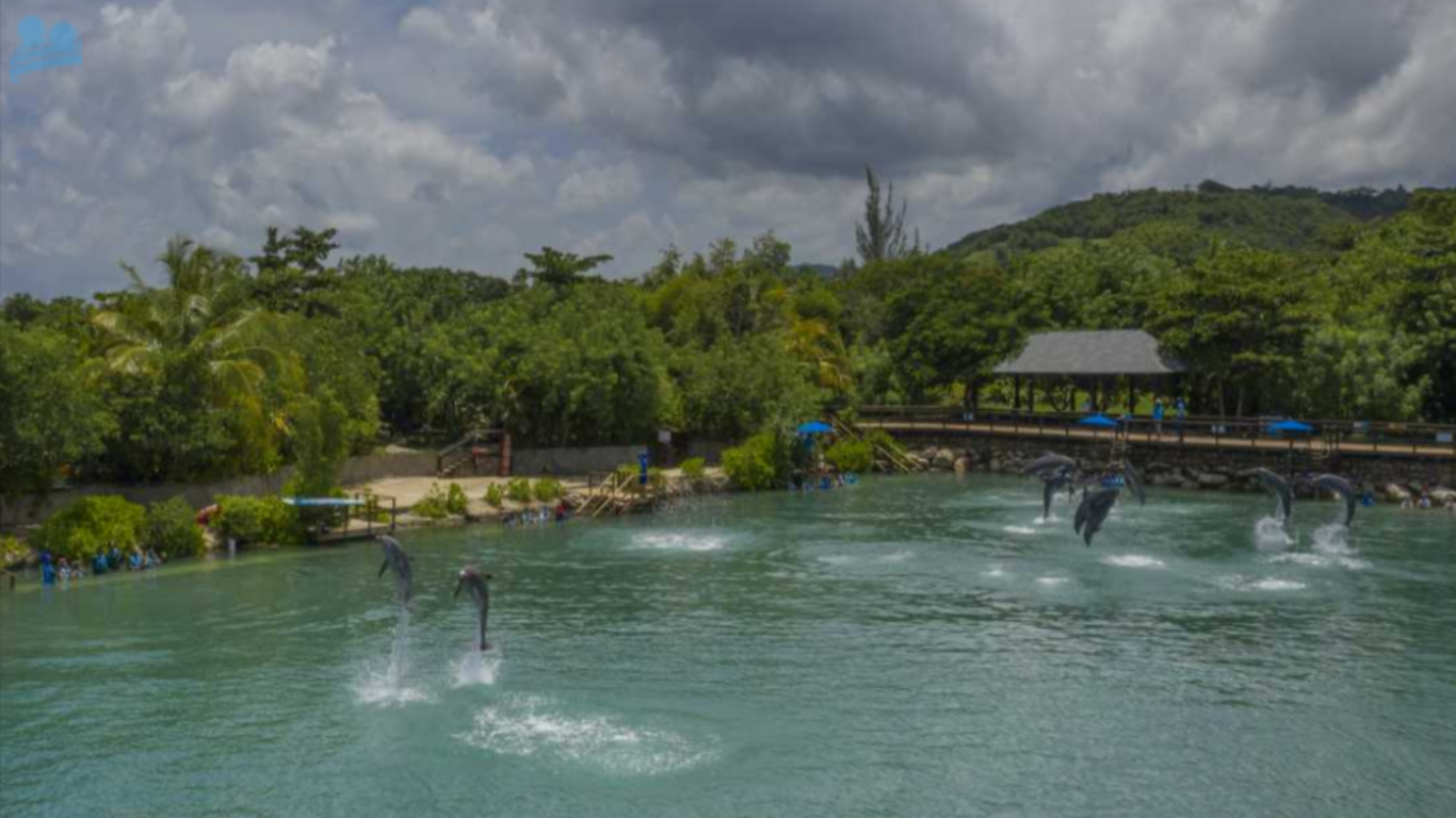Discover Montego Bay: Your Jamaican Getaway Discover Montego Bay: Your Jamaican Getaway