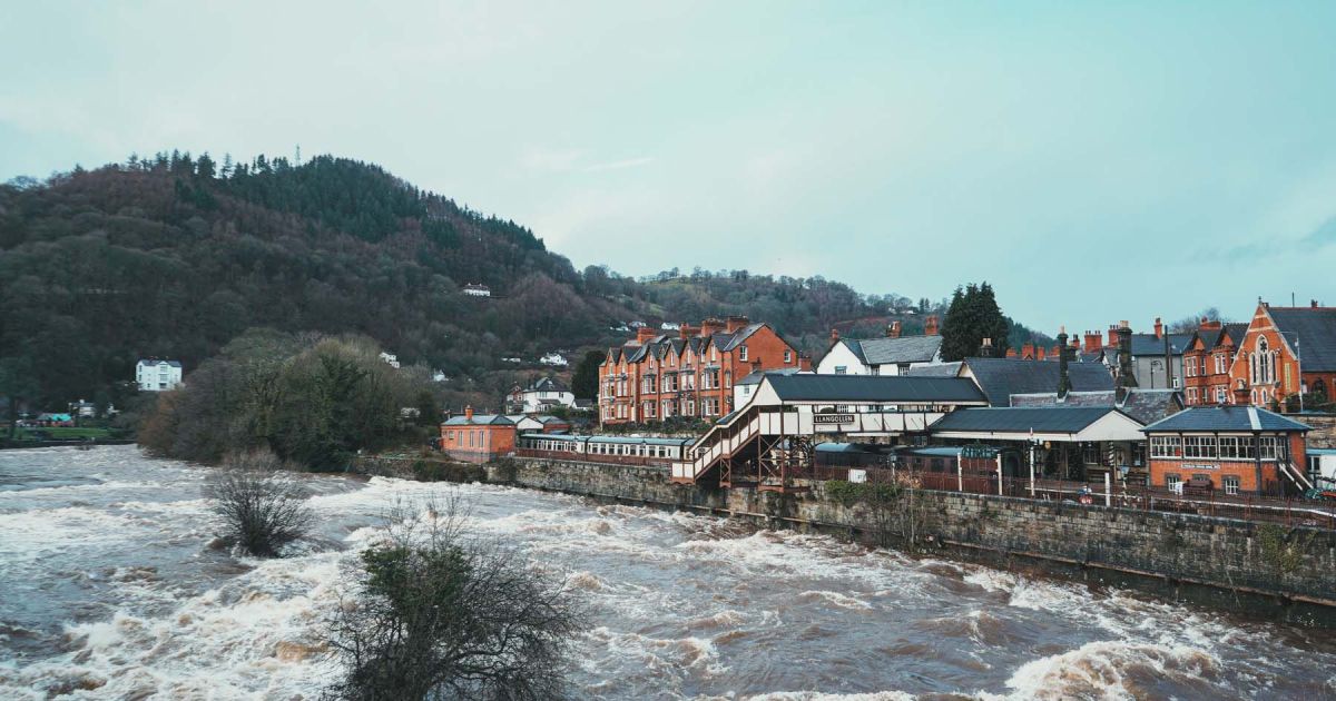 Discover Wrexham: Things To Do, See, And Experience Discover Wrexham: Things To Do, See, And Experience