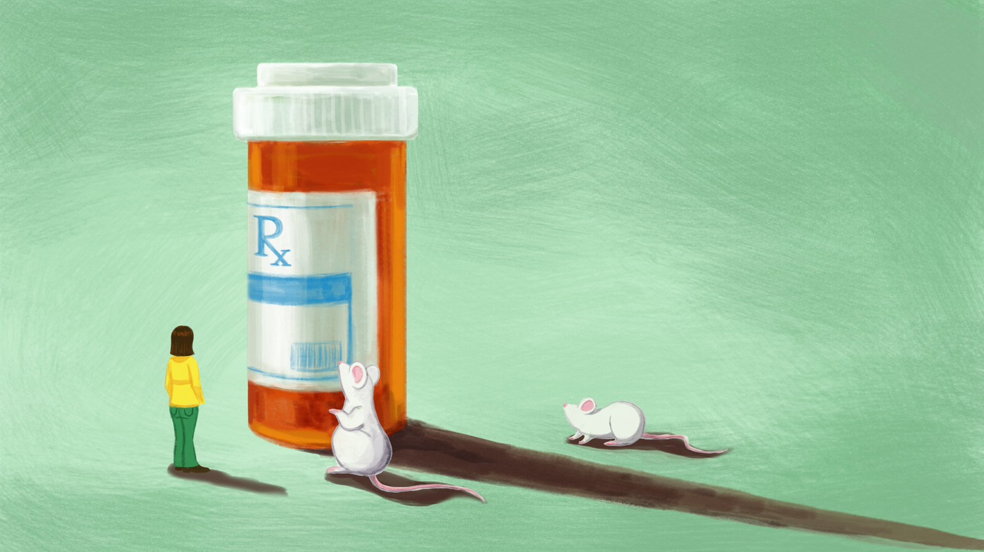 Does The US Government Fund Transgender Mouse Research? A Factual Analysis Does The US Government Fund Transgender Mouse Research? A Factual Analysis
