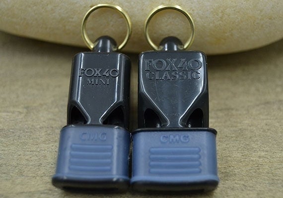 Dog Whistle Or Fog Horn? The Effectiveness Of Rupert Lowe's X Platform In UK Political Discourse Dog Whistle Or Fog Horn? The Effectiveness Of Rupert Lowe's X Platform In UK Political Discourse