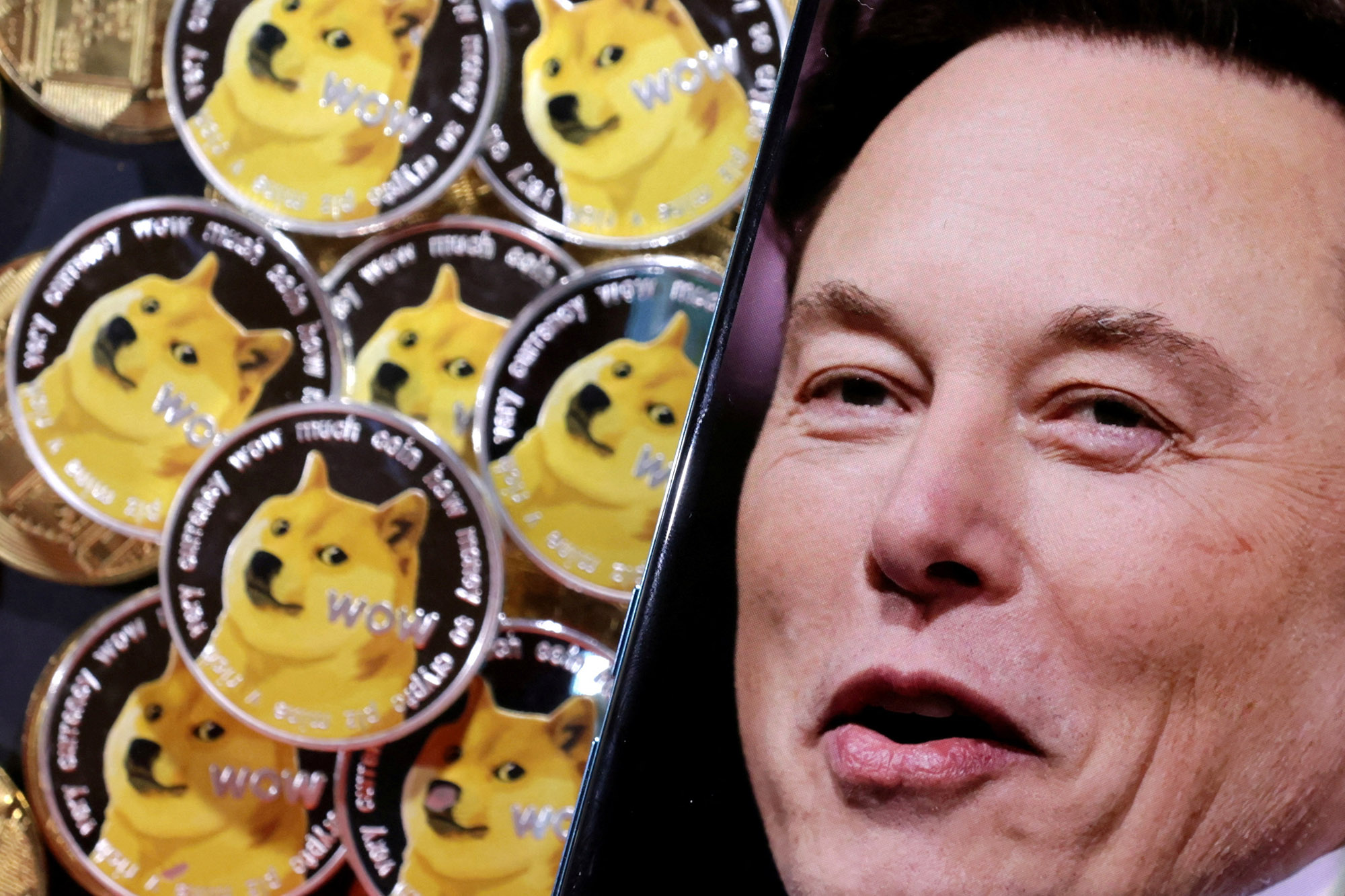 Dogecoin's Fate Uncertain As Musk Disputes Trump's Policy