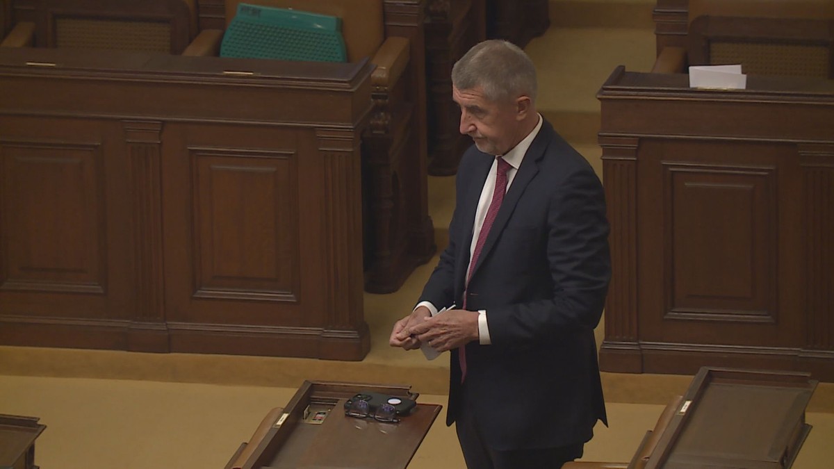Domácí Politika: Piráti A Zelení Se Chystají Na Společný Boj O Sněmovnu Domácí Politika: Piráti A Zelení Se Chystají Na Společný Boj O Sněmovnu