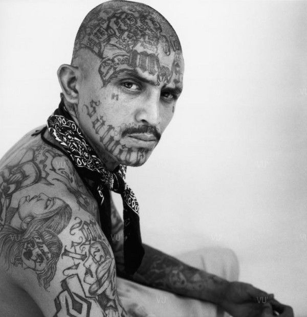 Donald Trump's Comments On Calibri And MS-13 Tattoos: An Analysis Donald Trump's Comments On Calibri And MS-13 Tattoos: An Analysis