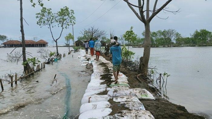 DPR Usul Giant Sea Wall: Solusi Lindungi Warga Pesisir Dari Ancaman Laut? DPR Usul Giant Sea Wall: Solusi Lindungi Warga Pesisir Dari Ancaman Laut?