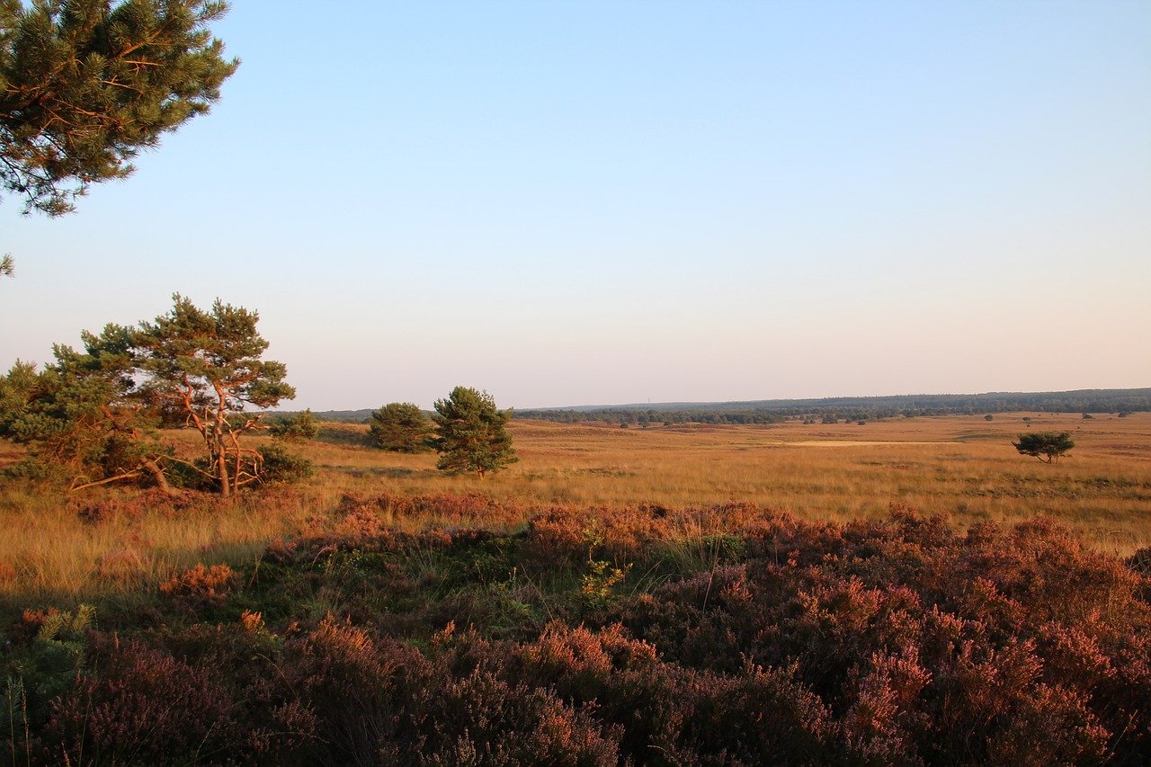 Drenthe: Droogte Zorgt Voor Vele Afgelaste Paasvuren Drenthe: Droogte Zorgt Voor Vele Afgelaste Paasvuren