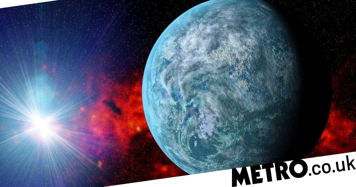 Earth's Hidden Alien Life: Predicting The Characteristics Of Non-Xenomorph Species Earth's Hidden Alien Life: Predicting The Characteristics Of Non-Xenomorph Species