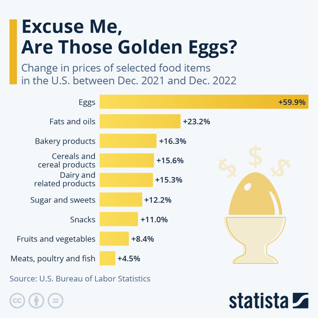 Egg Price Relief: Dozens Now Available For $5 In The US Egg Price Relief: Dozens Now Available For $5 In The US
