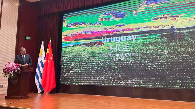 El Regalo De Uruguay A China: Estrategia Para Mejorar Exportaciones De Carne El Regalo De Uruguay A China: Estrategia Para Mejorar Exportaciones De Carne