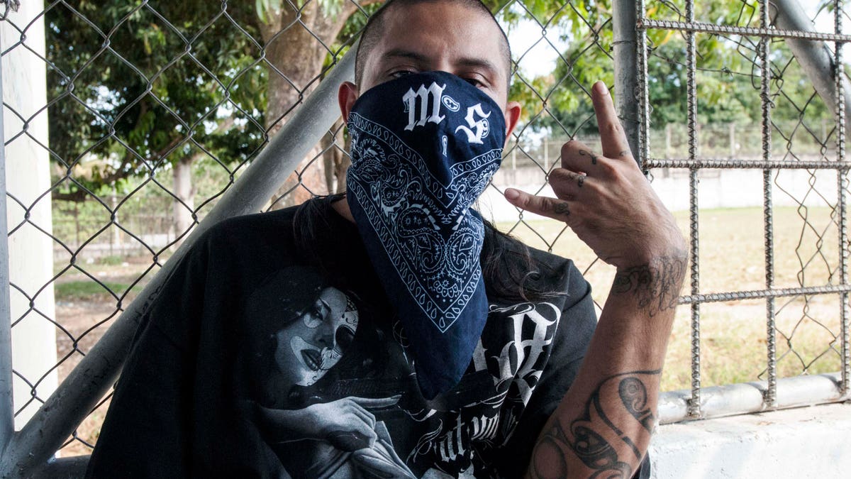 El Salvador Gang Violence, US Immigration, And The Kilmar Abrego Garcia Case El Salvador Gang Violence, US Immigration, And The Kilmar Abrego Garcia Case