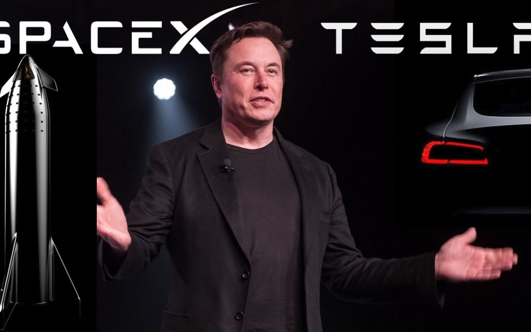 Elon Musk And Dogecoin: A Timeline Of Volatility And Tesla's Stock Performance Elon Musk And Dogecoin: A Timeline Of Volatility And Tesla's Stock Performance