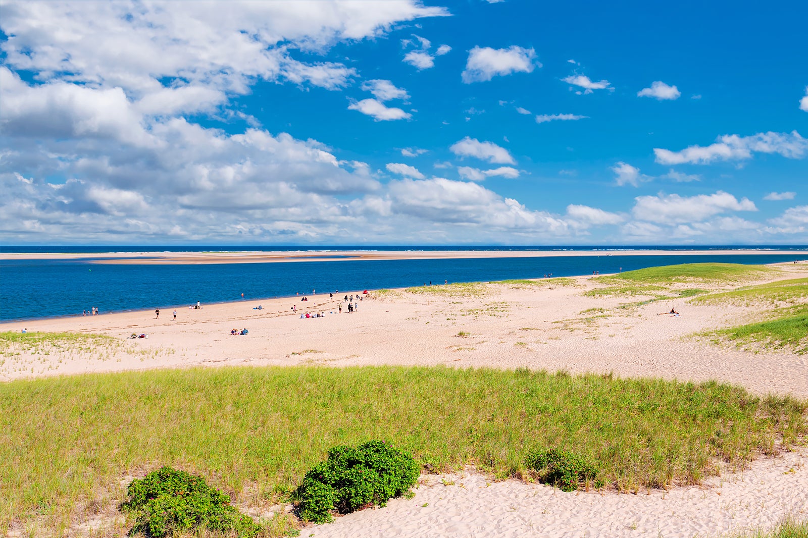 Emergency Red Tide Warning: Cape Cod Beaches Closed Emergency Red Tide Warning: Cape Cod Beaches Closed