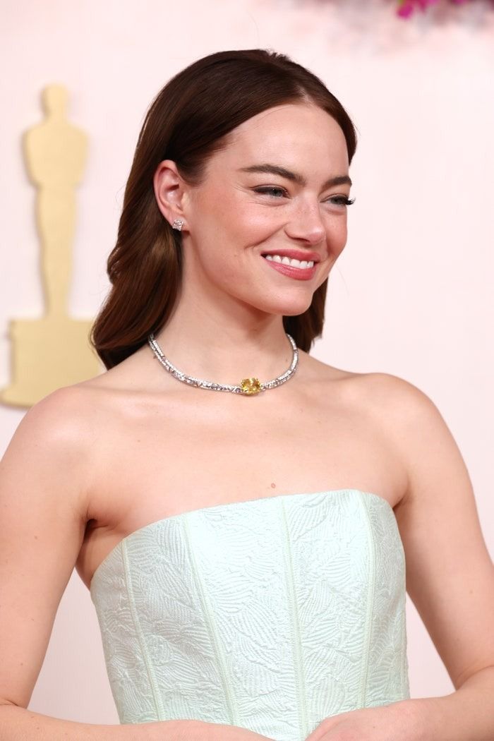 Emma Stone's Custom Louis Vuitton Sequin Dress: A Showstopper At The Oscars 2025 Emma Stone's Custom Louis Vuitton Sequin Dress: A Showstopper At The Oscars 2025