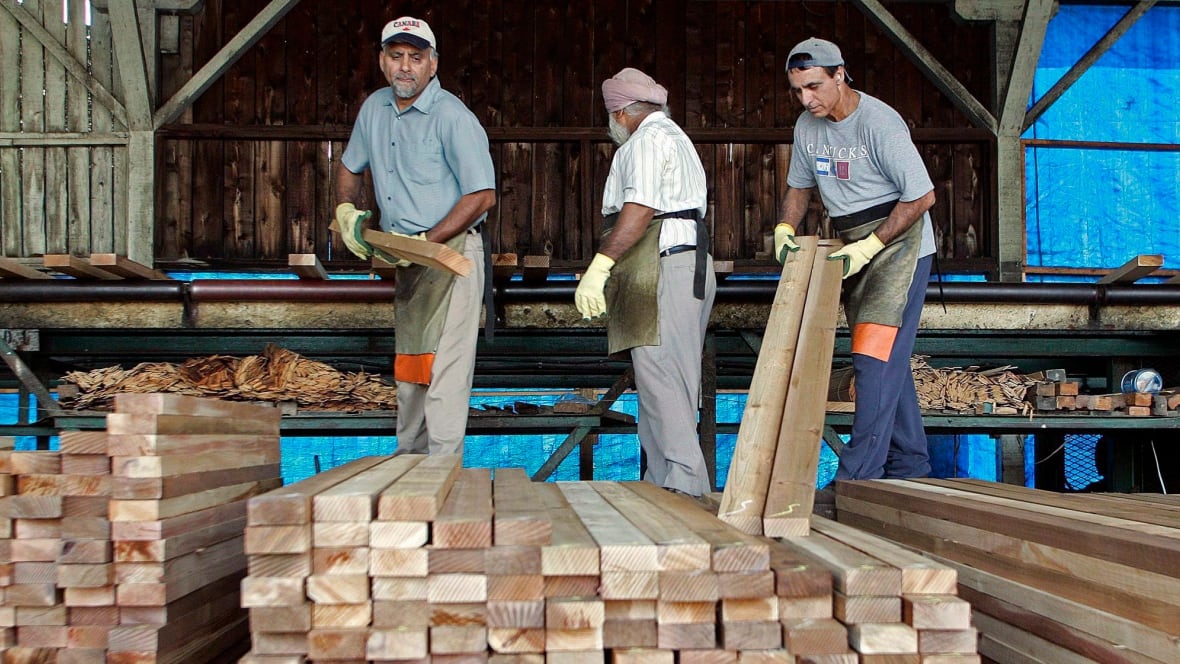 Exploring The Business Acumen Of Samuel Dickson: A Canadian Lumber Industry Pioneer Exploring The Business Acumen Of Samuel Dickson: A Canadian Lumber Industry Pioneer