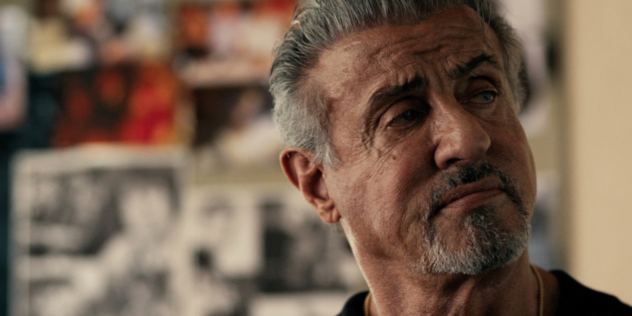 Exposition D'art : La Visite De Sylvester Stallone Exposition D'art : La Visite De Sylvester Stallone