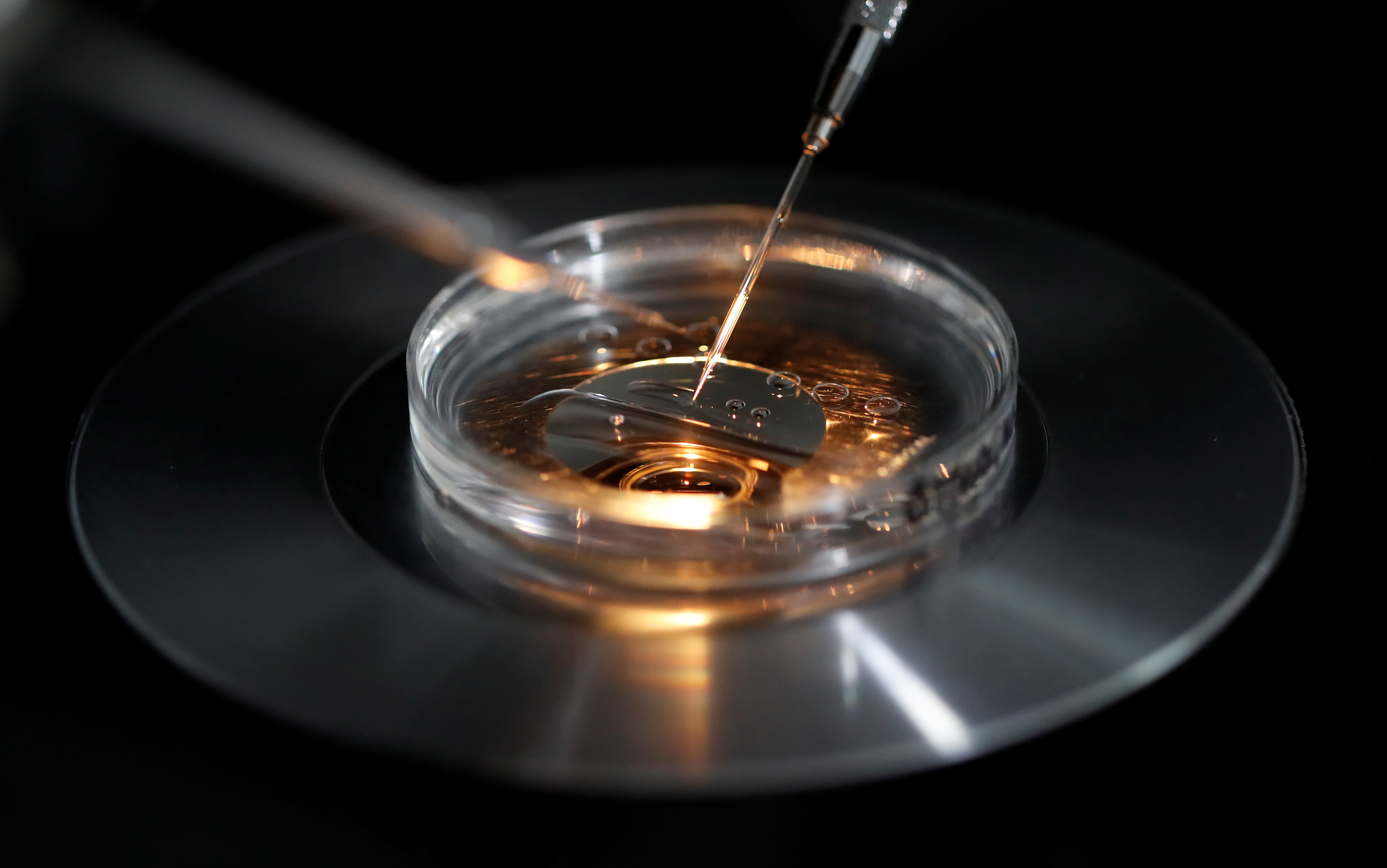 FBI Investigation: Suspect In California Fertility Clinic Explosion Likely Perished