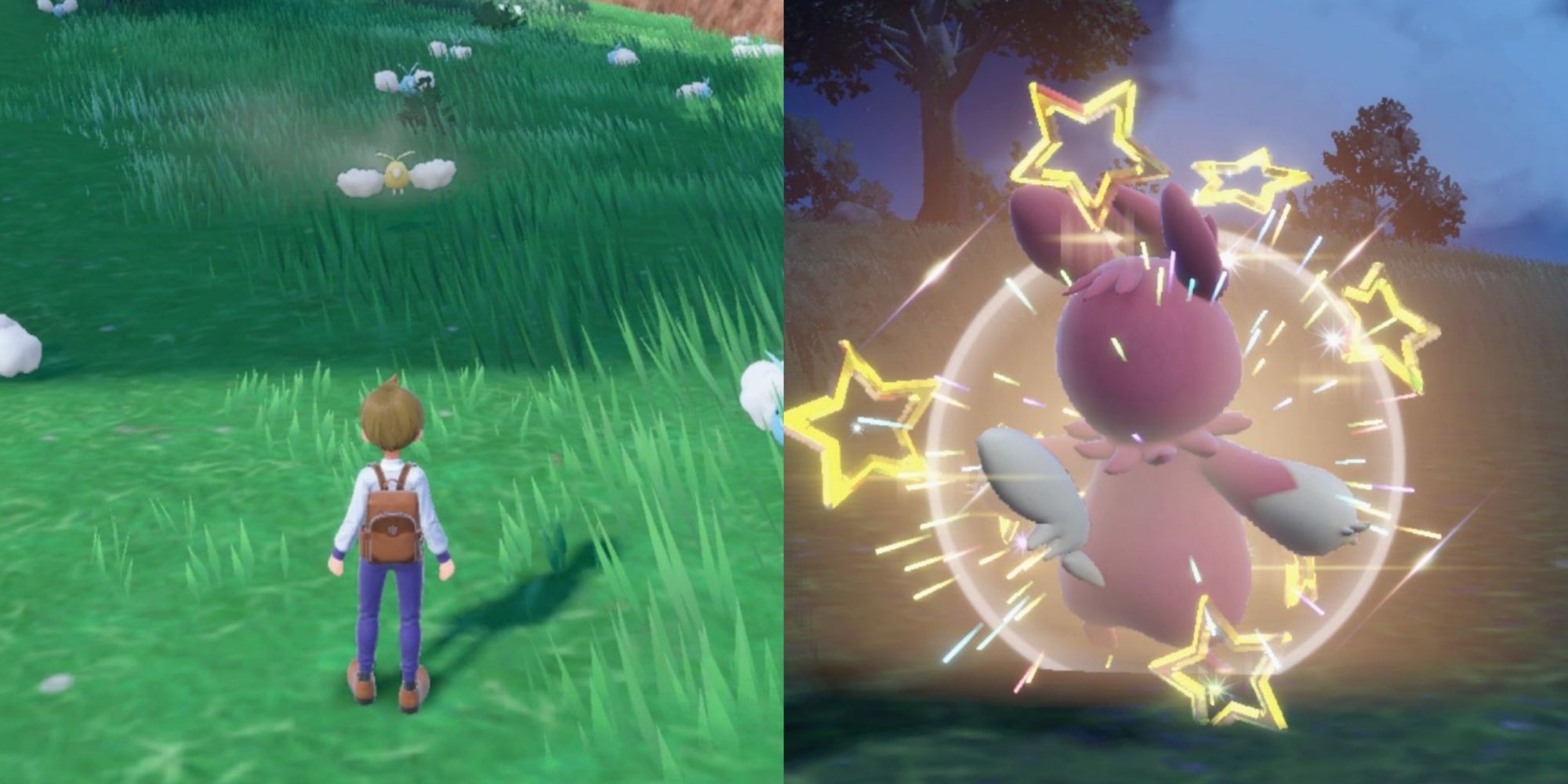 Finding Shiny Pokémon: Your Guide To Pokémon TCG Pocket Finding Shiny Pokémon: Your Guide To Pokémon TCG Pocket
