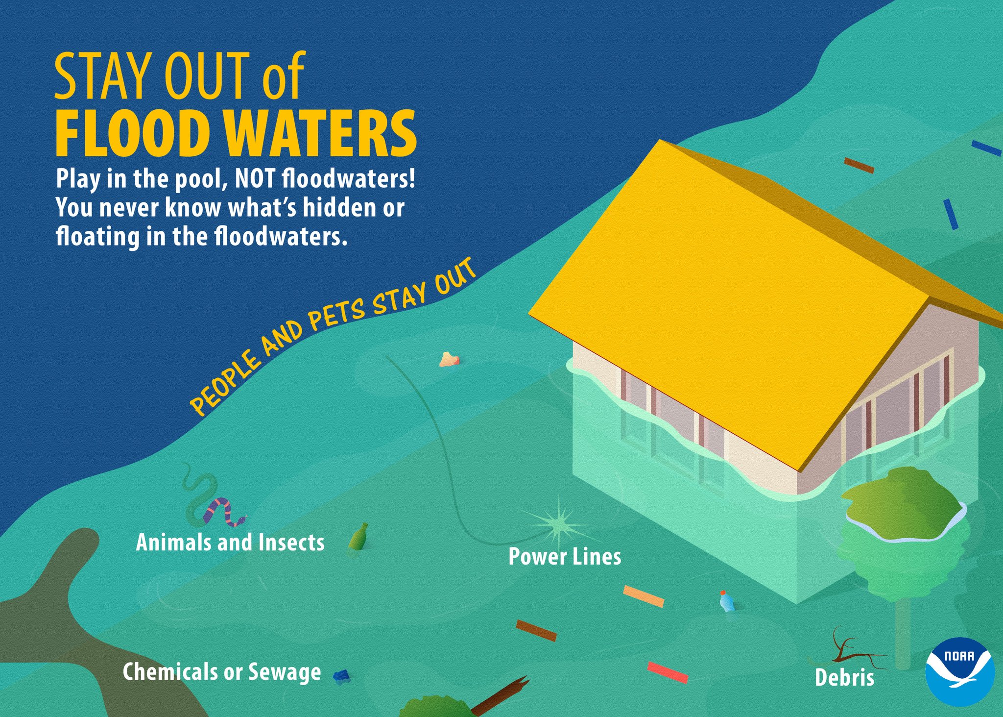 Flash Flood Emergency: Safety Tips And Survival Strategies Flash Flood Emergency: Safety Tips And Survival Strategies