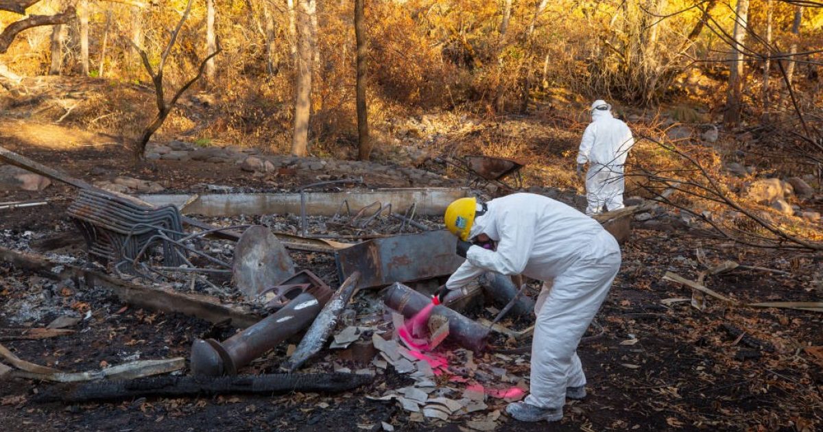 Following Severe Weather: Louisville Launches Debris Removal Program