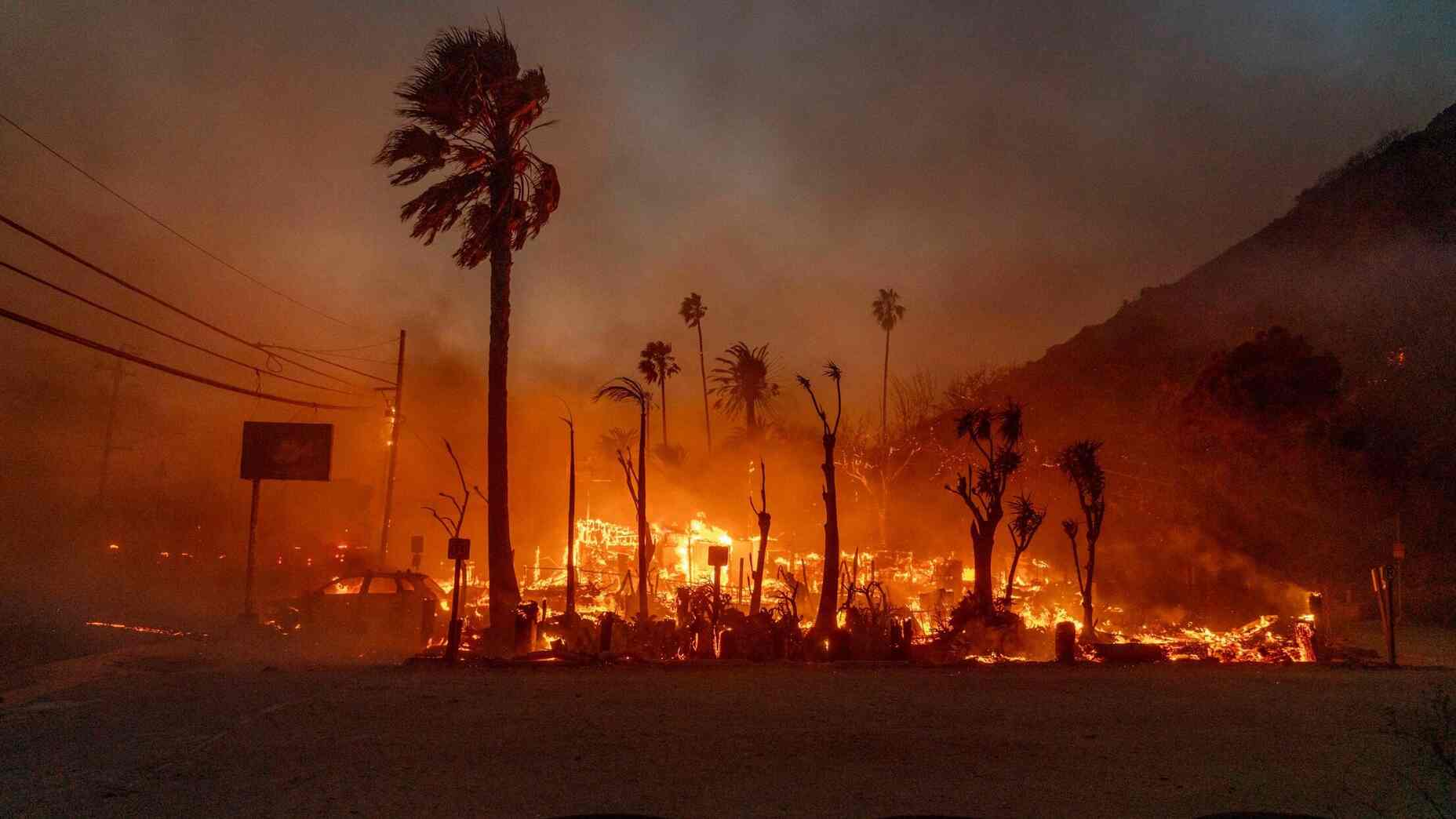 Full List: Celebrities Affected By The Palisades Fires In Los Angeles Full List: Celebrities Affected By The Palisades Fires In Los Angeles