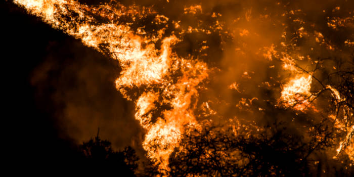 Gambling On Calamity: Examining The LA Wildfires Betting Market