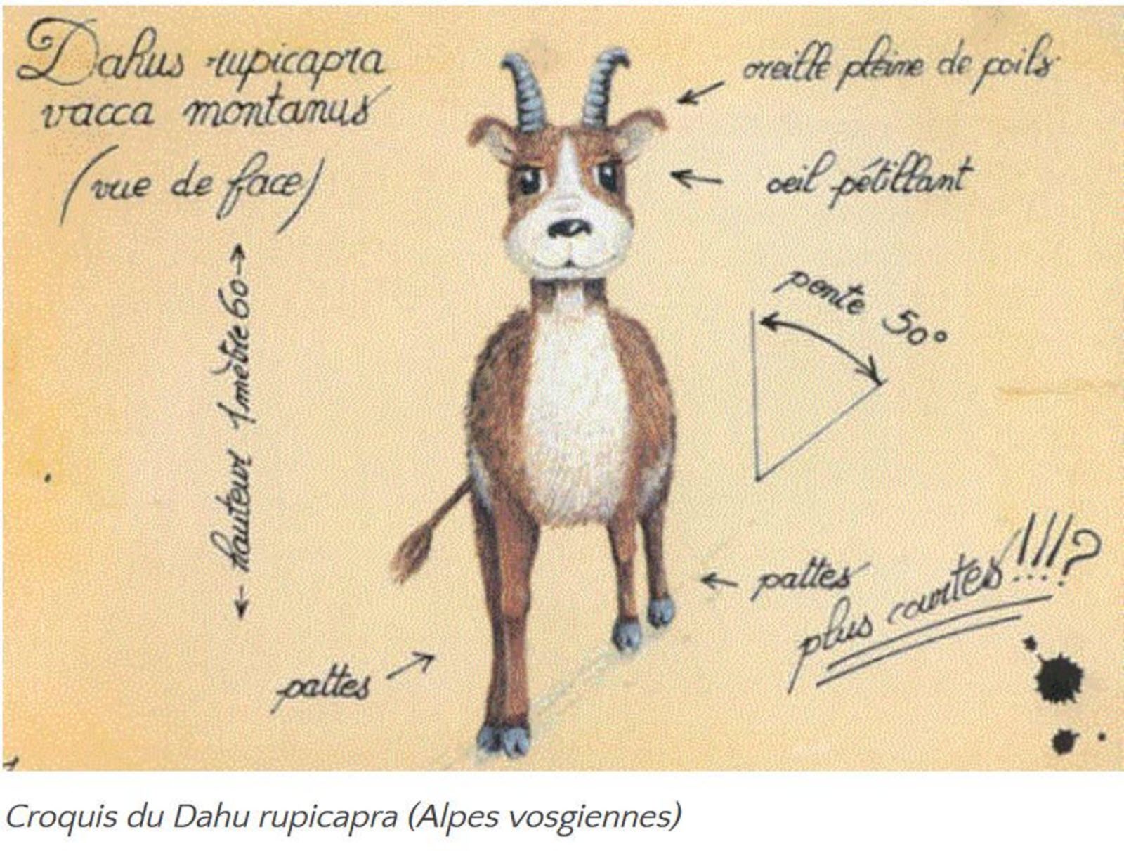 Game De Dahu #1 À Saint-Dié-des-Vosges : Infos Jeu Et Concours Game De Dahu #1 À Saint-Dié-des-Vosges : Infos Jeu Et Concours