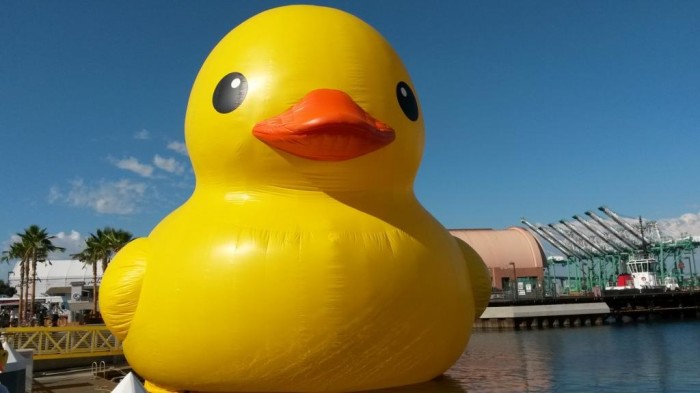 Giant Rubber Duck Brings Important Message To Myrtle Beach Giant Rubber Duck Brings Important Message To Myrtle Beach