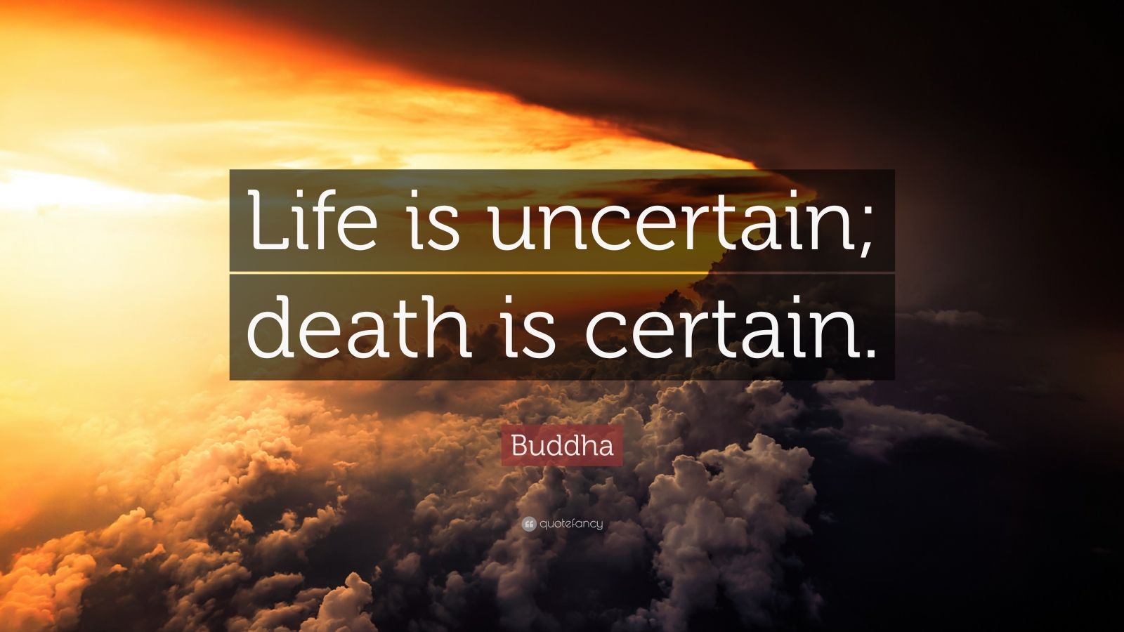Glastonbury Festival: An Iconic Rock Band's Uncertain Future - Life Or Death Scenarios Glastonbury Festival: An Iconic Rock Band's Uncertain Future - Life Or Death Scenarios