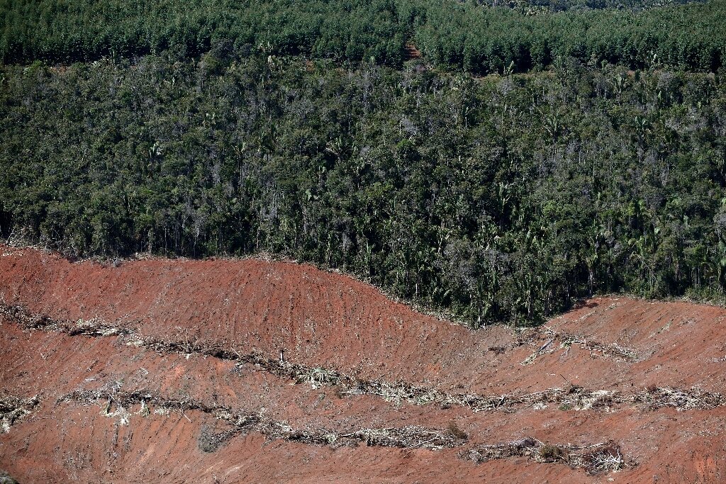 Global Deforestation Surges: Wildfires Drive Unprecedented Forest Loss Global Deforestation Surges: Wildfires Drive Unprecedented Forest Loss