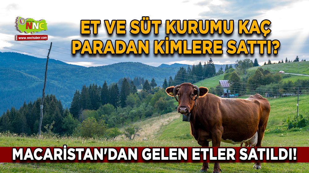 Hacıosmanoğlu'nun Macaristan Ziyareti: Detaylar Ve Önemli Noktalar Hacıosmanoğlu'nun Macaristan Ziyareti: Detaylar Ve Önemli Noktalar