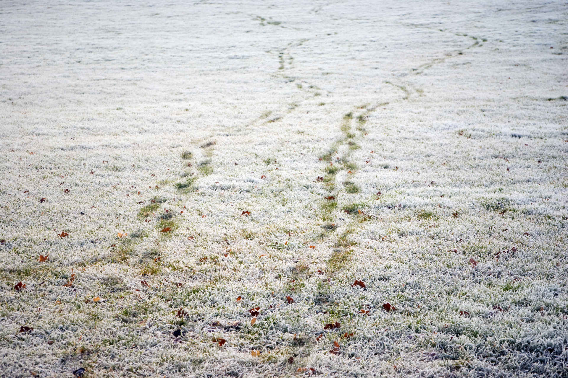 Hailstorms Damage Summer Landscapes: Pools And Lawns Affected Hailstorms Damage Summer Landscapes: Pools And Lawns Affected