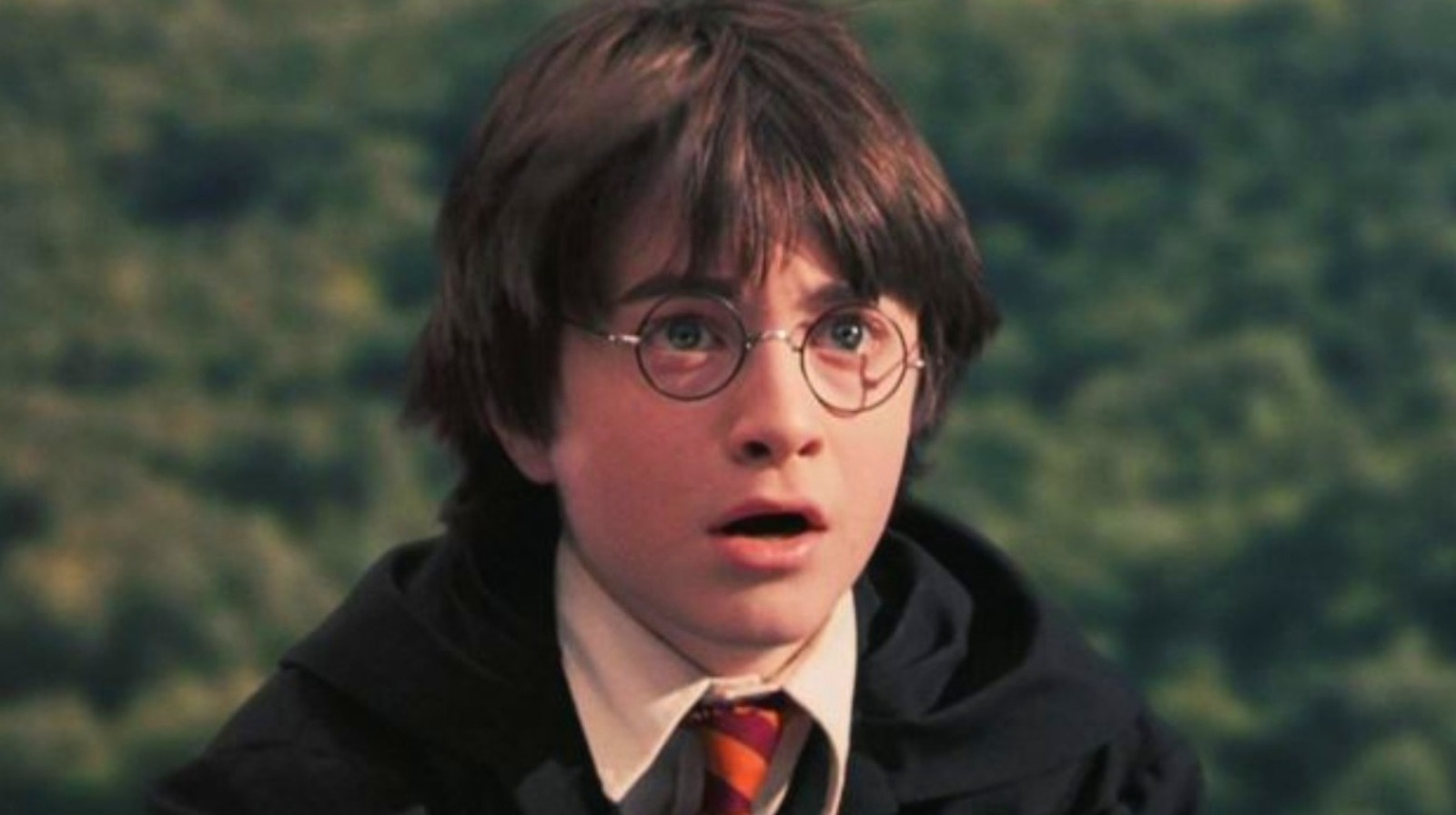 Harry Potter Star Open To HBO Return: 