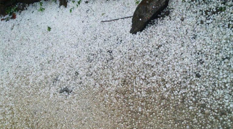Heavy Hailstorms Leave Pools And Gardens In Ruins Heavy Hailstorms Leave Pools And Gardens In Ruins