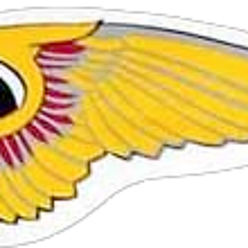 Hells Angels: Structure, Operations, And Activities Hells Angels: Structure, Operations, And Activities