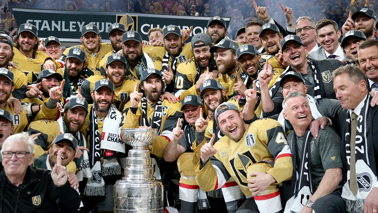 Hertl's Two Hat Tricks Fuel Golden Knights' Win Against Red Wings Hertl's Two Hat Tricks Fuel Golden Knights' Win Against Red Wings