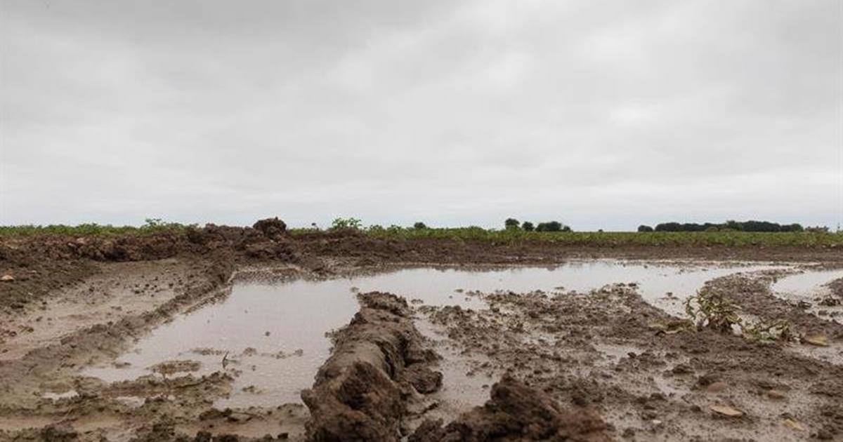 How Flooding Impacts Livestock And Farm Operations How Flooding Impacts Livestock And Farm Operations