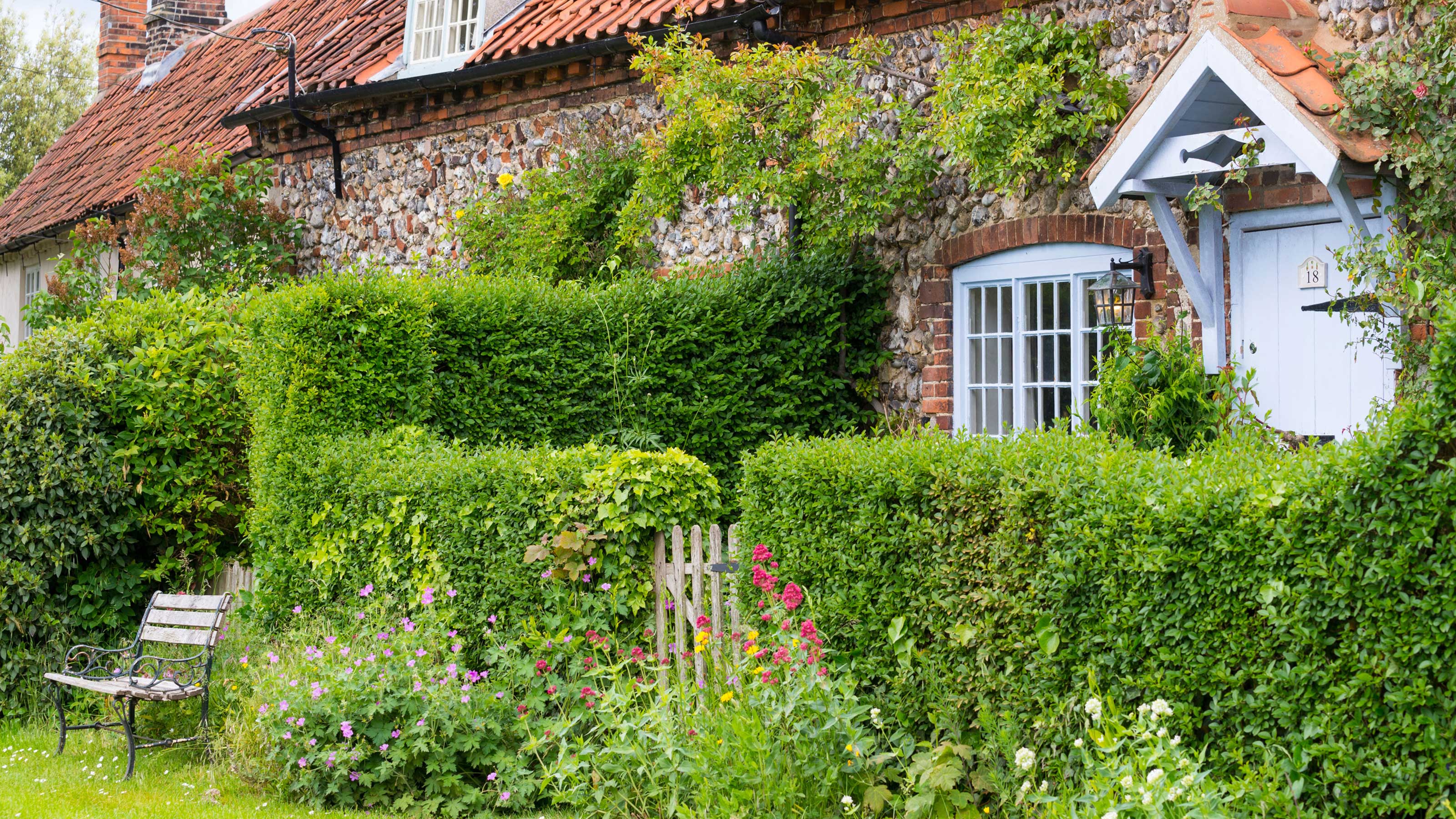 How To Plant And Maintain A Successful Living Fence How To Plant And Maintain A Successful Living Fence