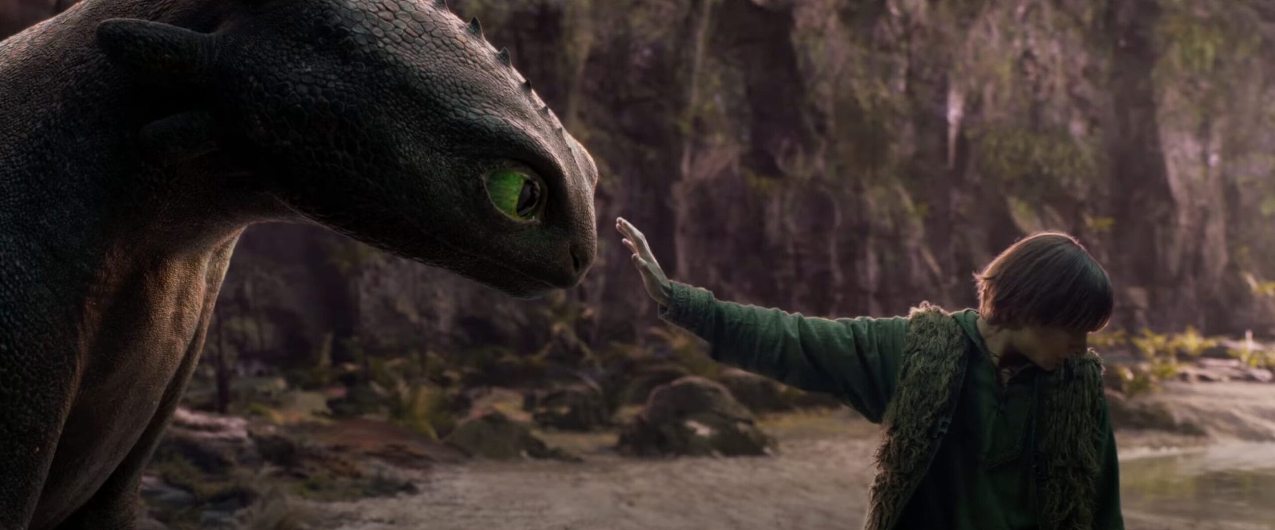 How To Train Your Dragon Live-Action: A Controversial Decision Averted How To Train Your Dragon Live-Action: A Controversial Decision Averted
