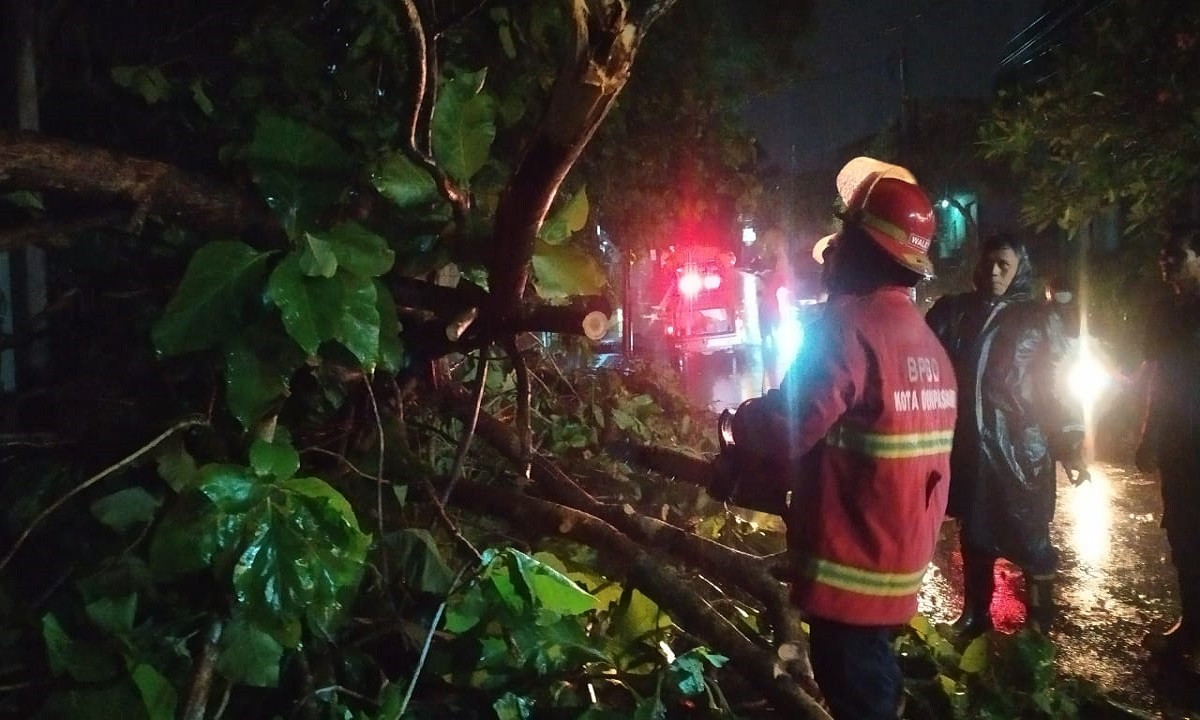 Hujan Lebat Di Denpasar, Prakiraan Cuaca Bali Besok Hujan Lebat Di Denpasar, Prakiraan Cuaca Bali Besok