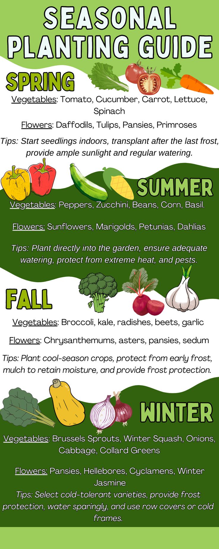Hyacinth Bulb Planting Schedule: Ensuring Vibrant Spring Displays Hyacinth Bulb Planting Schedule: Ensuring Vibrant Spring Displays