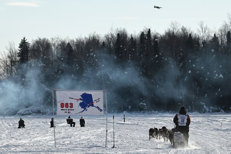 Iditarod 2024: Rookie Mushers' Journey To Nome Iditarod 2024: Rookie Mushers' Journey To Nome