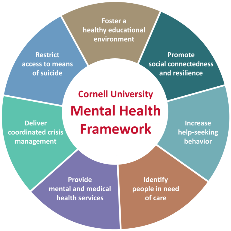 Improving Mental Healthcare: Addressing Urgent Needs And Systemic Issues Improving Mental Healthcare: Addressing Urgent Needs And Systemic Issues
