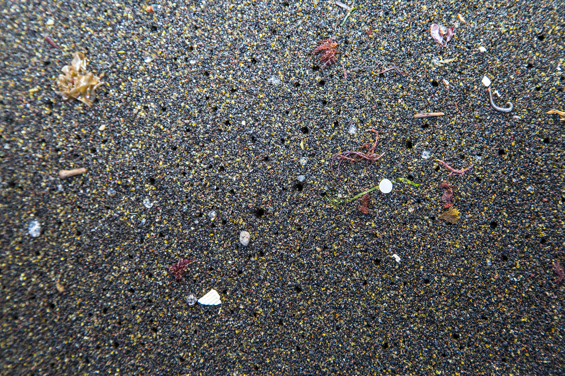 In Quale Acqua Troviamo Più Microplastiche?